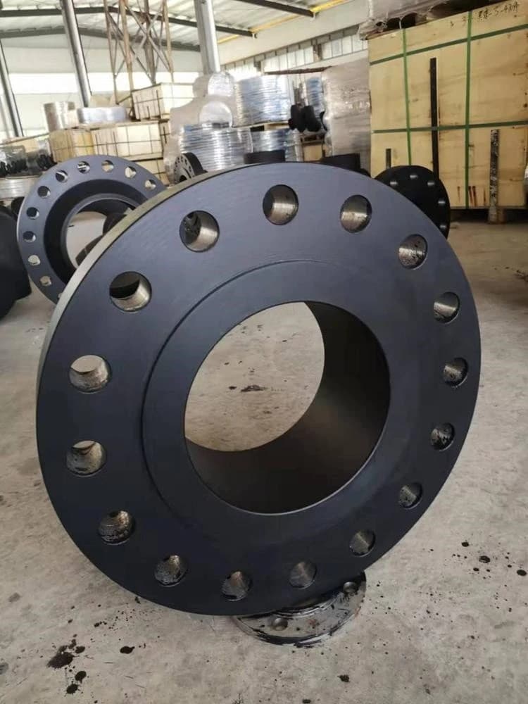 Bride ASME B16.5 ASTM694 Gr.F60 4