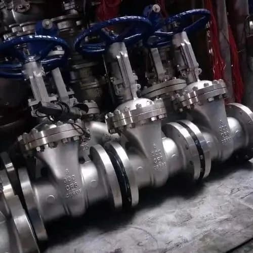 Vanne à opercule en acier inoxydable
